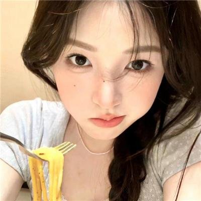 哈兰·科本的庇护所